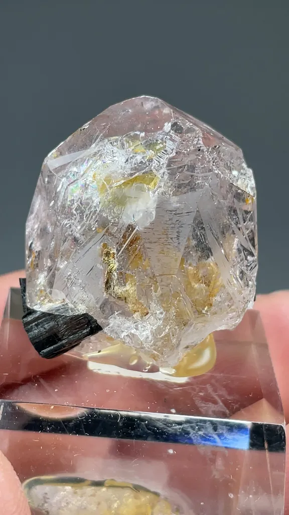 Beryl - image 2