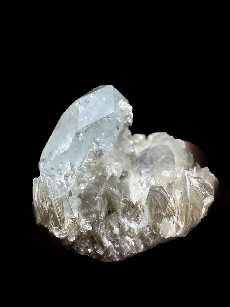 Beryl - image 5