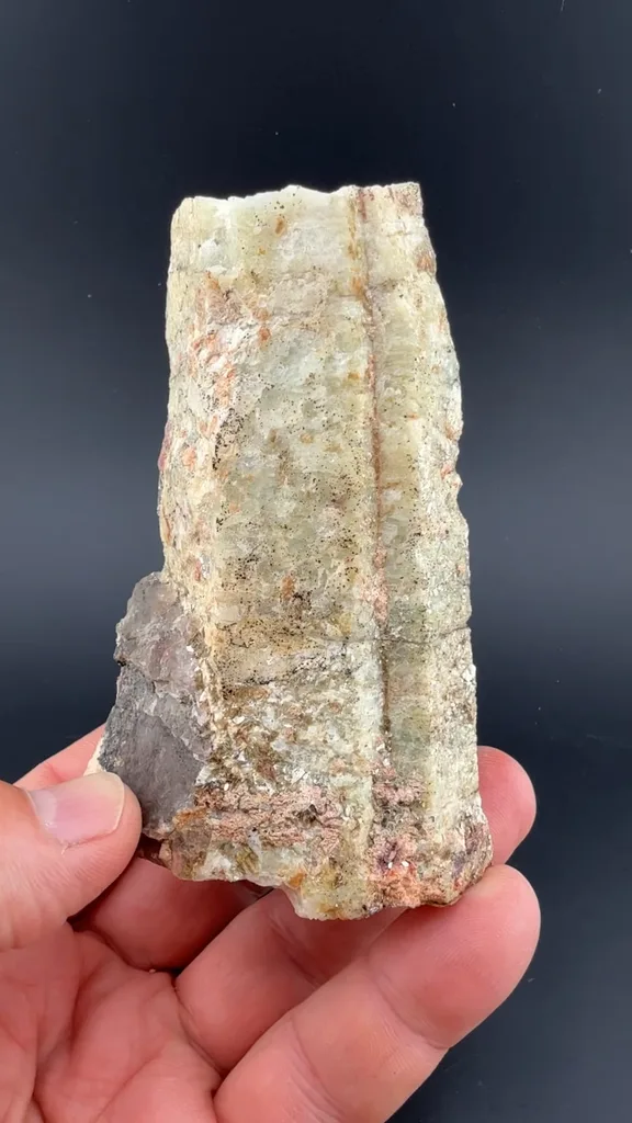 Beryl - image 2