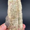 Beryl - image 2