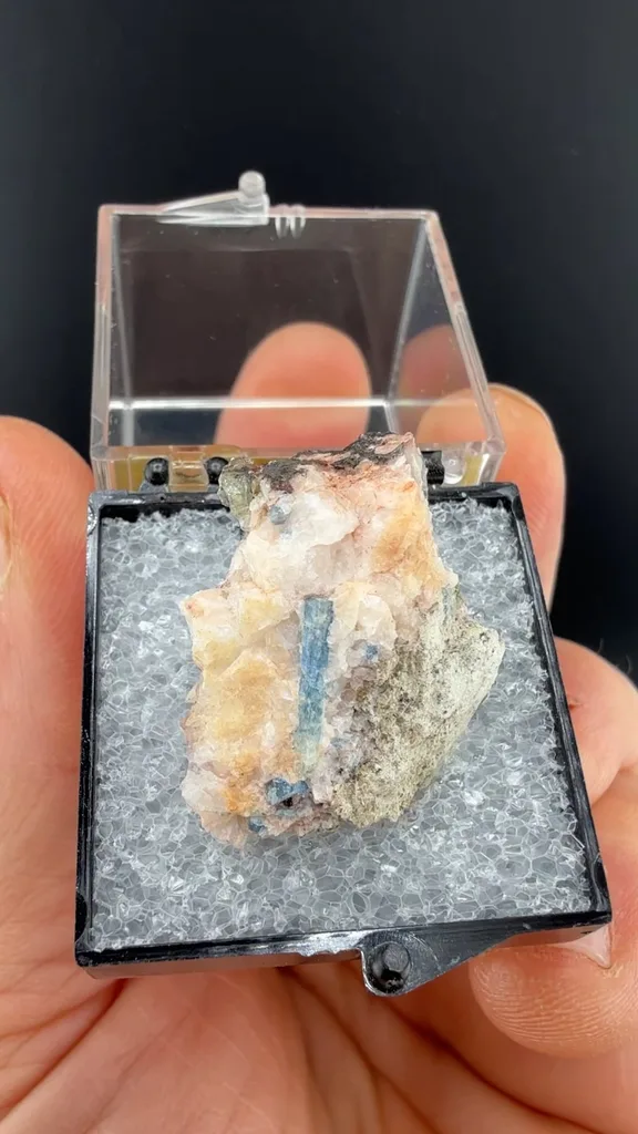 Beryl - image 2