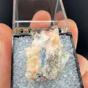 Beryl - image 2