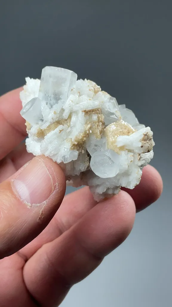 Beryl - image 2
