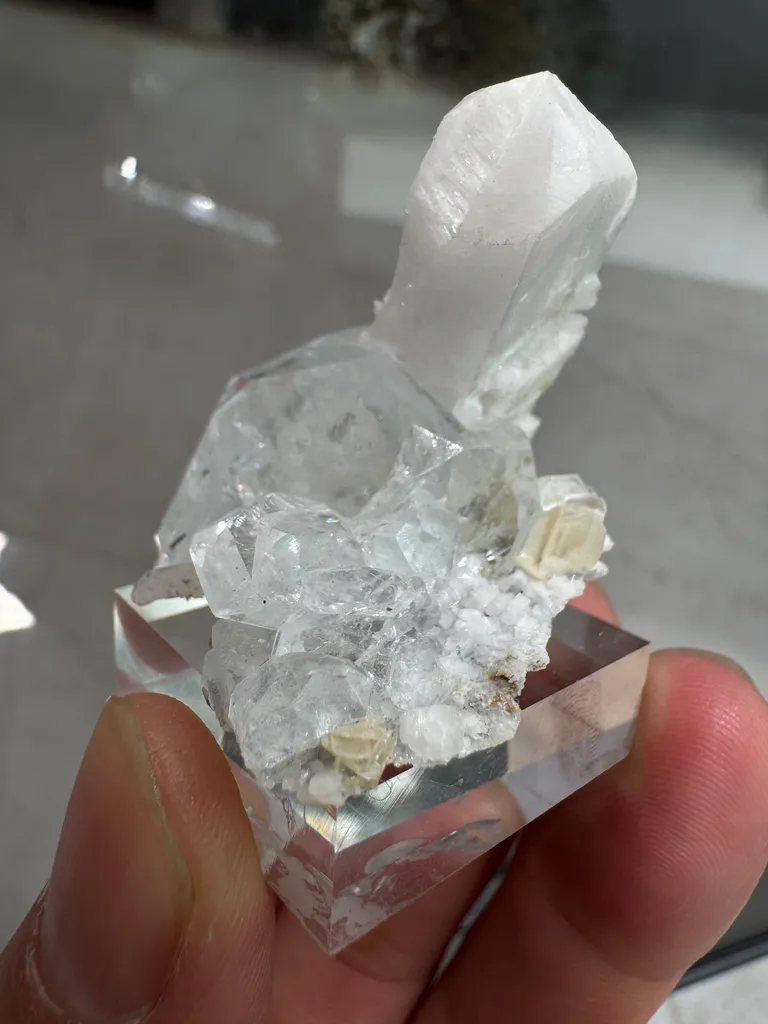 Beryl - image 4
