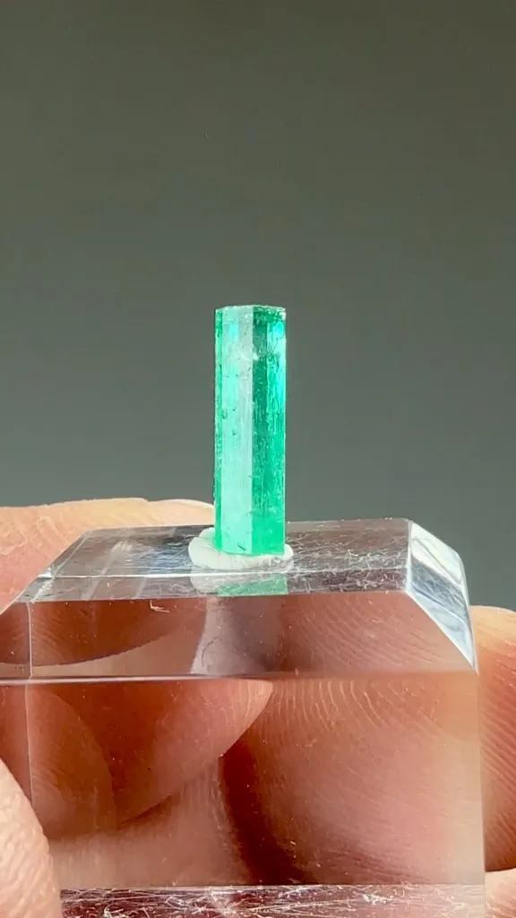 Beryl - image 2
