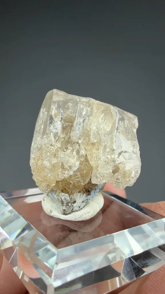 Beryl - image 2