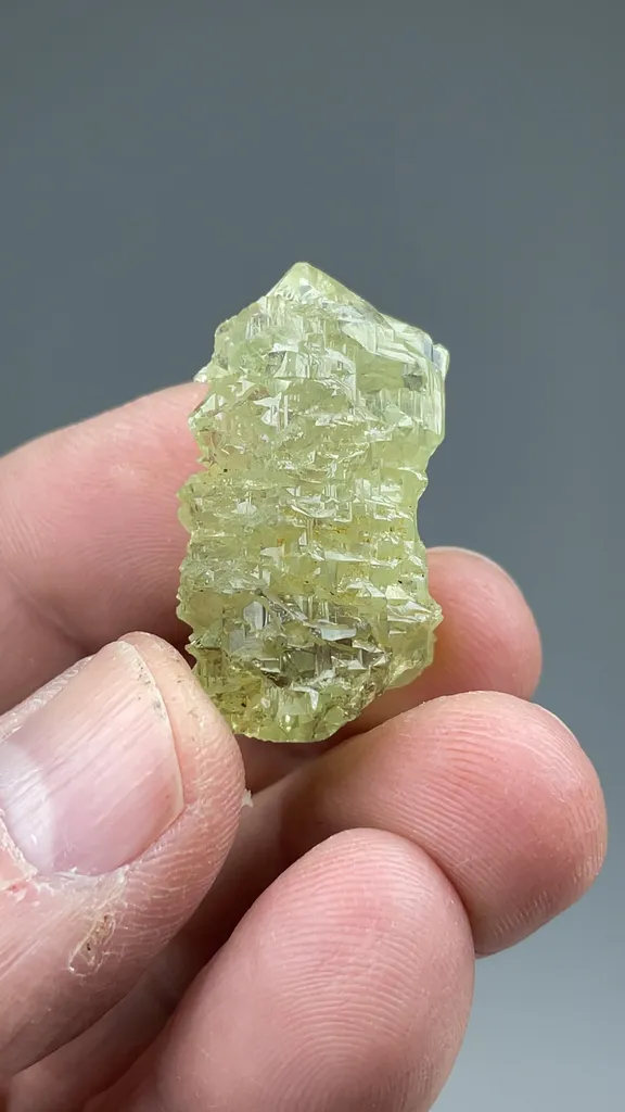 Beryl - image 2
