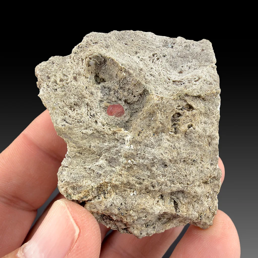 Beryl - image 1