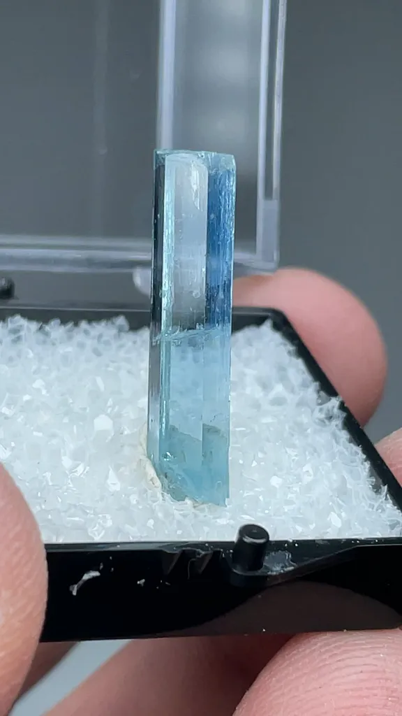Beryl - image 2