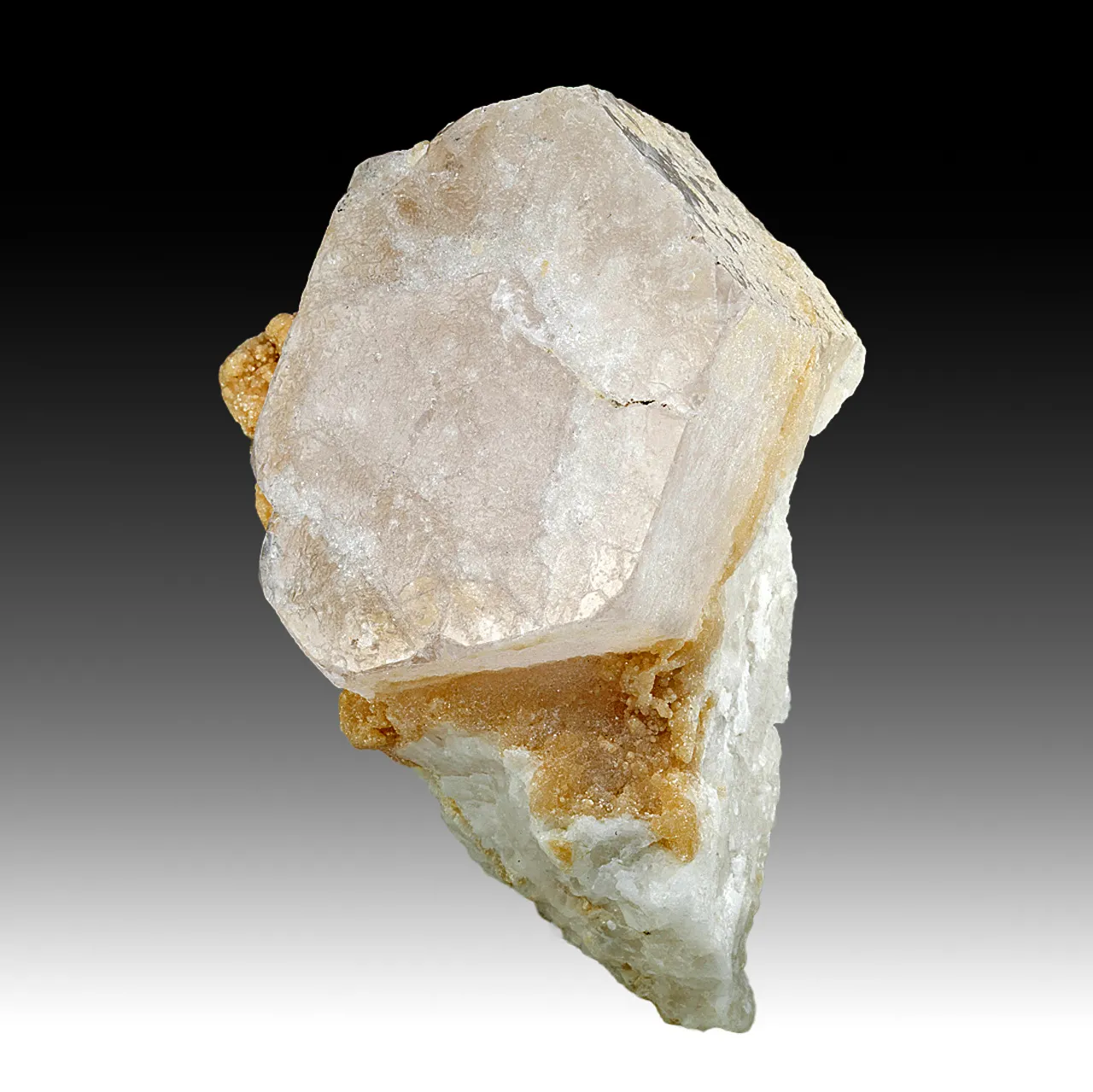 Beryl - image 1