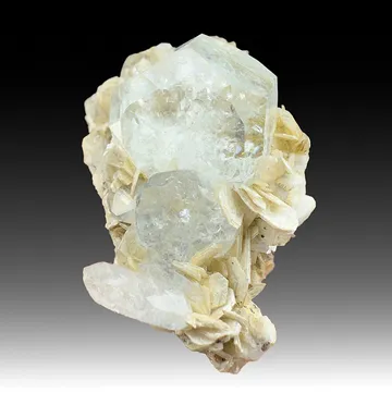 Beryl