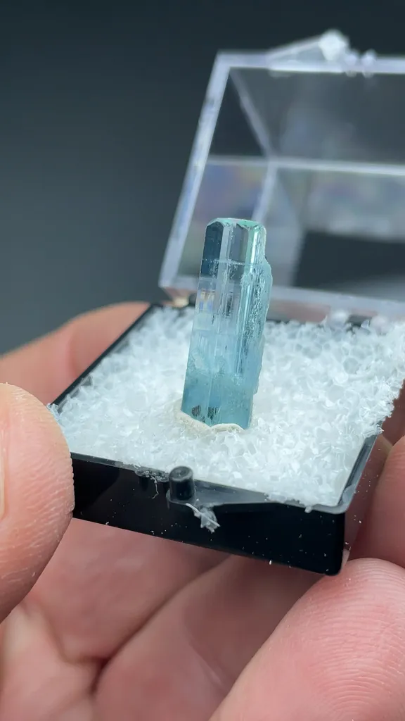 Beryl - image 2