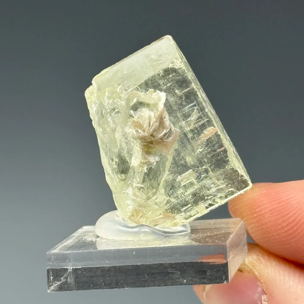 Beryl - image 3