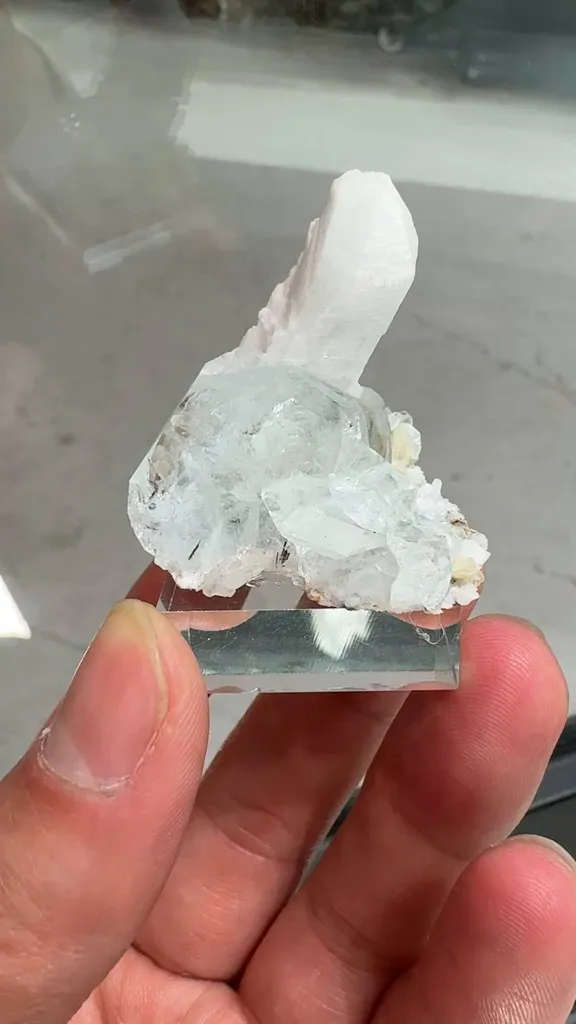 specimen video