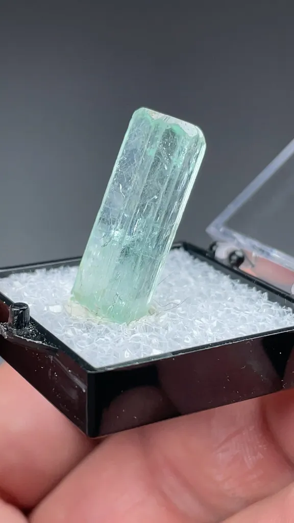 Beryl - image 2