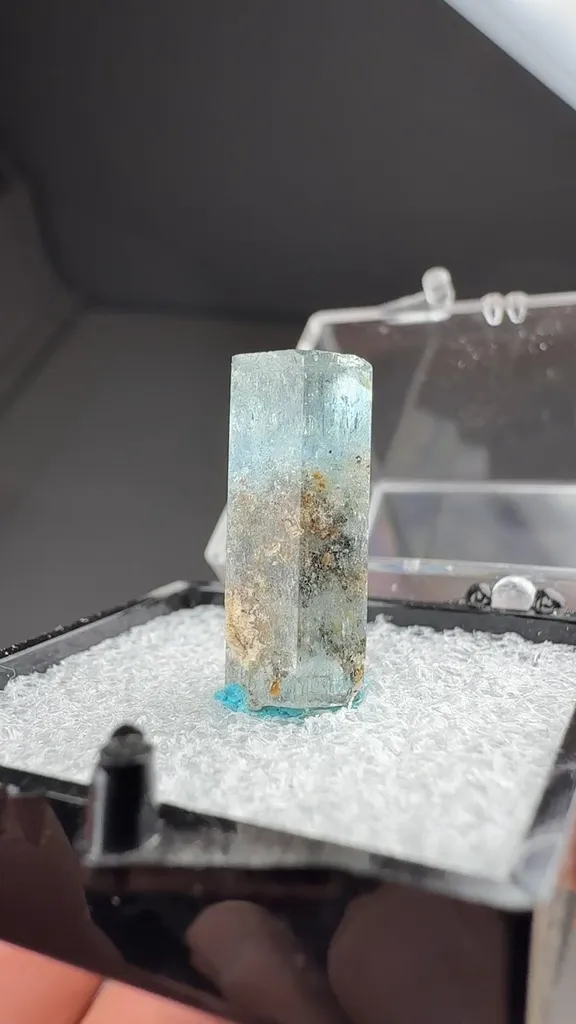 Beryl - image 2