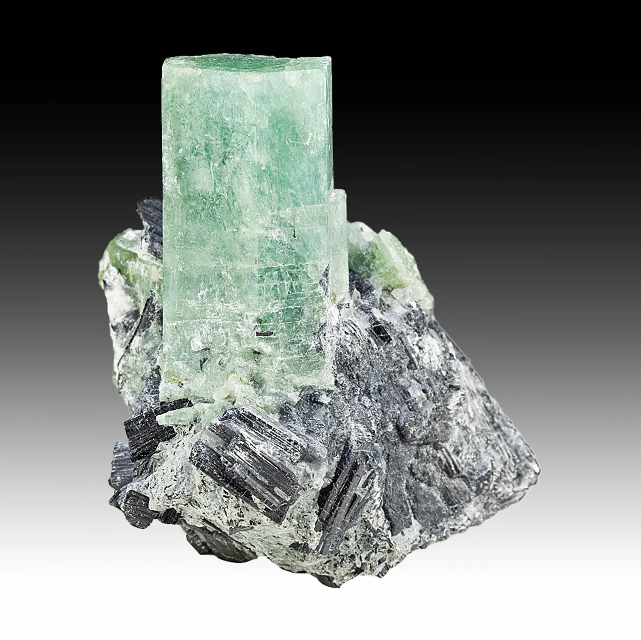 Beryl - image 1