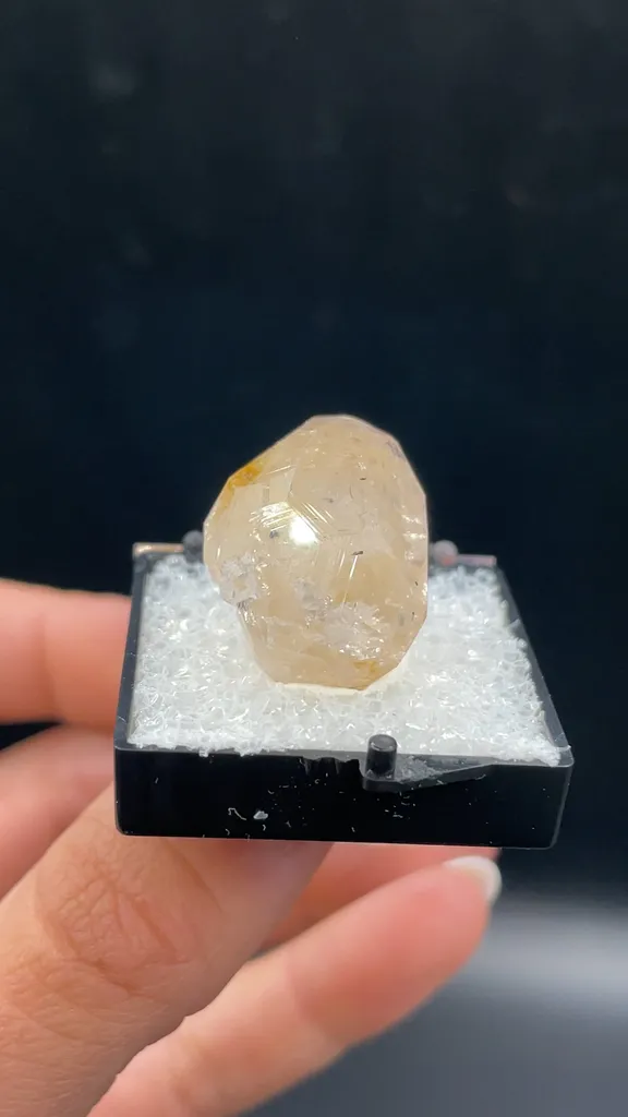 Beryl - image 2
