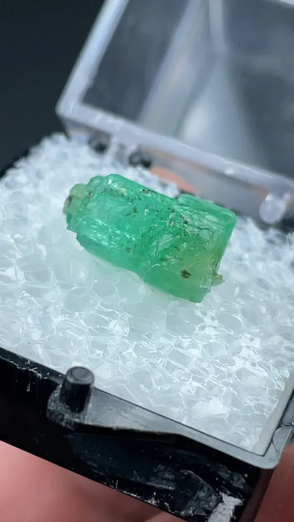 Beryl - image 2