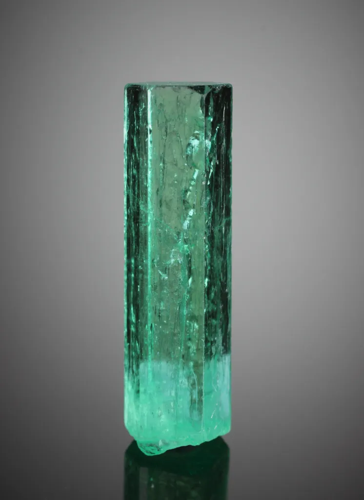 Beryl from Colombia image