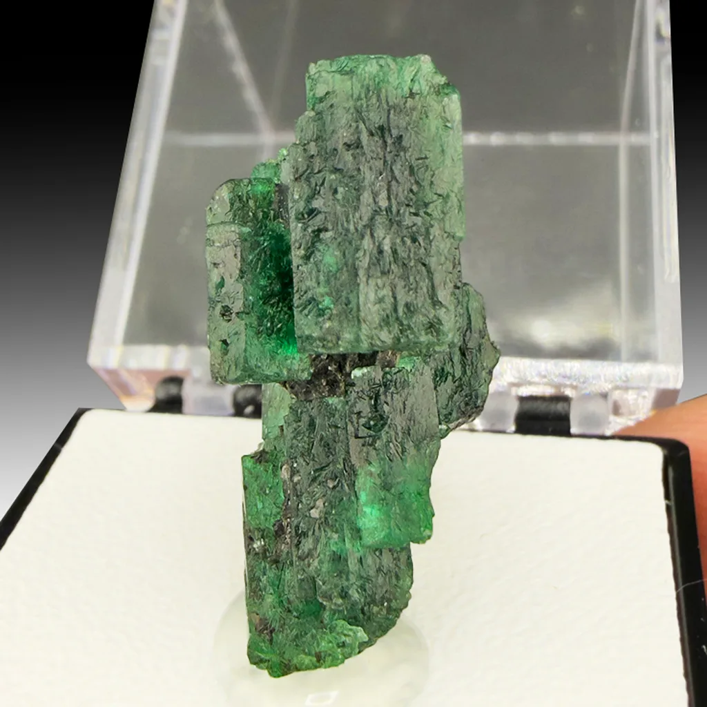 Beryl from Copperbelt Province, Zambia - image 1