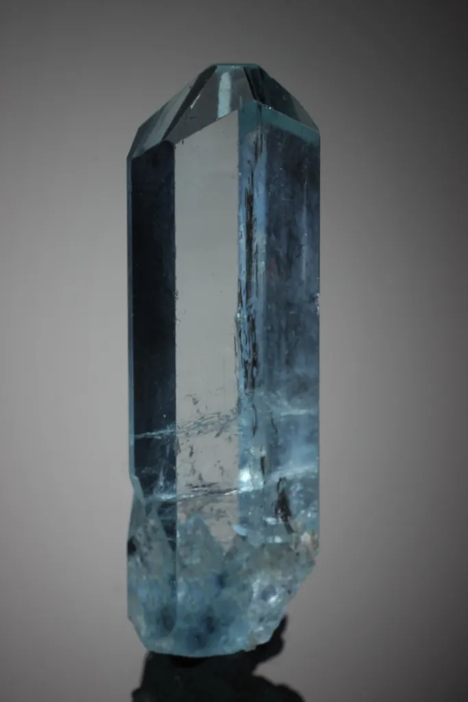 Beryl from Madagascar image