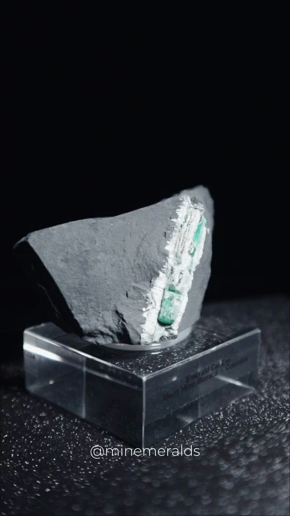 specimen video
