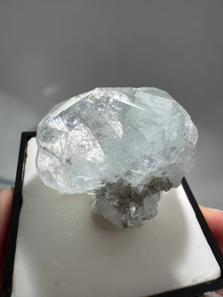 Beryl from Sichuan, China - image 6