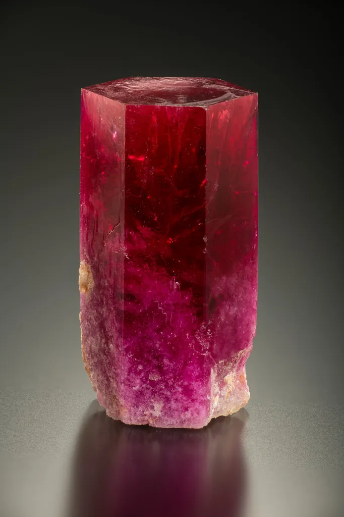 Beryl from USA, Utah image