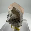 Beryl, Morganite, Tantalite from Afghanistan - image 6