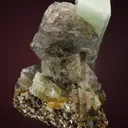 Beryl (repaired) - image 3