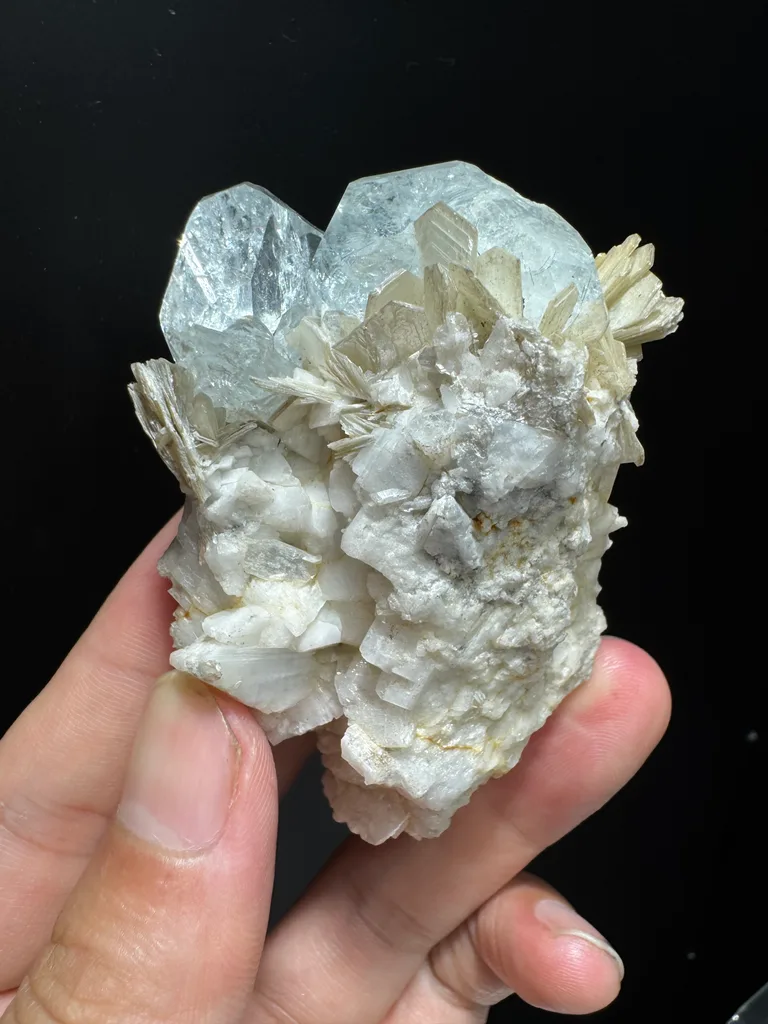 Beryl - image 5