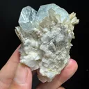 Beryl - image 5