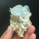 specimen video