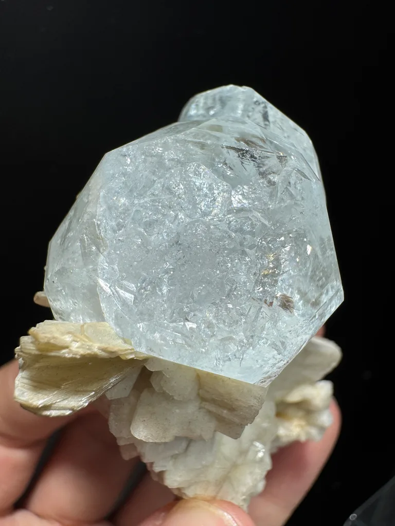 Beryl - image 4
