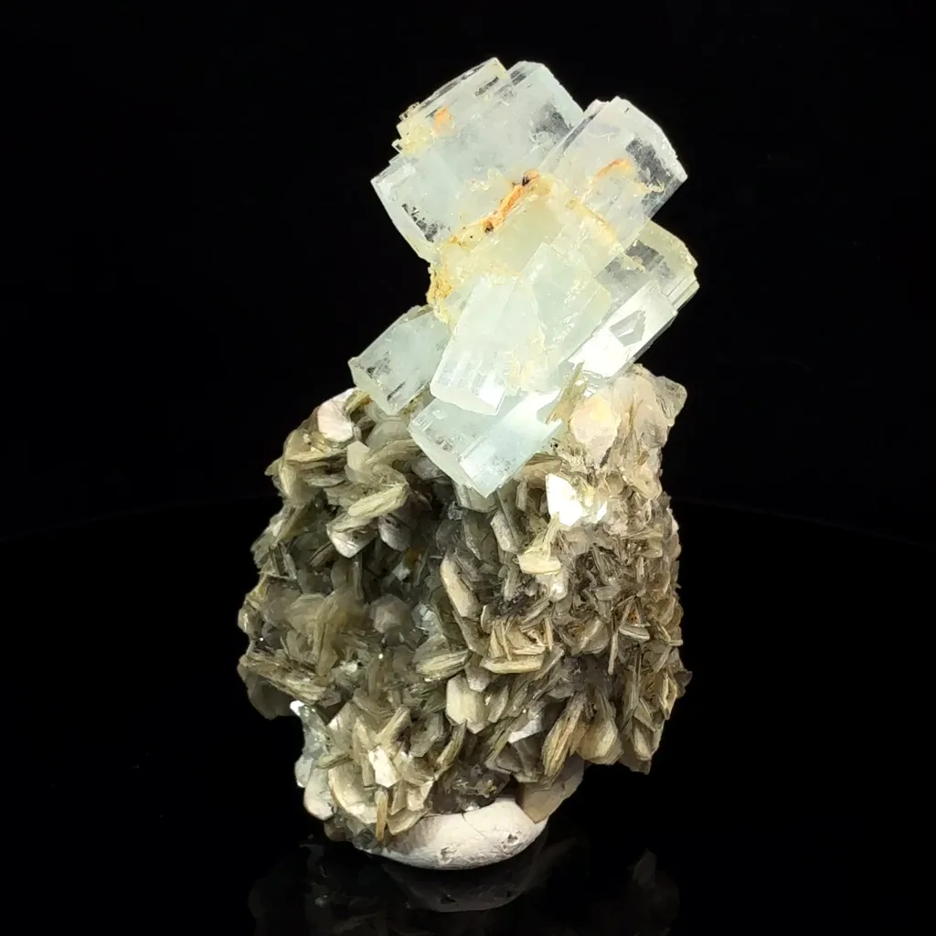 specimen video