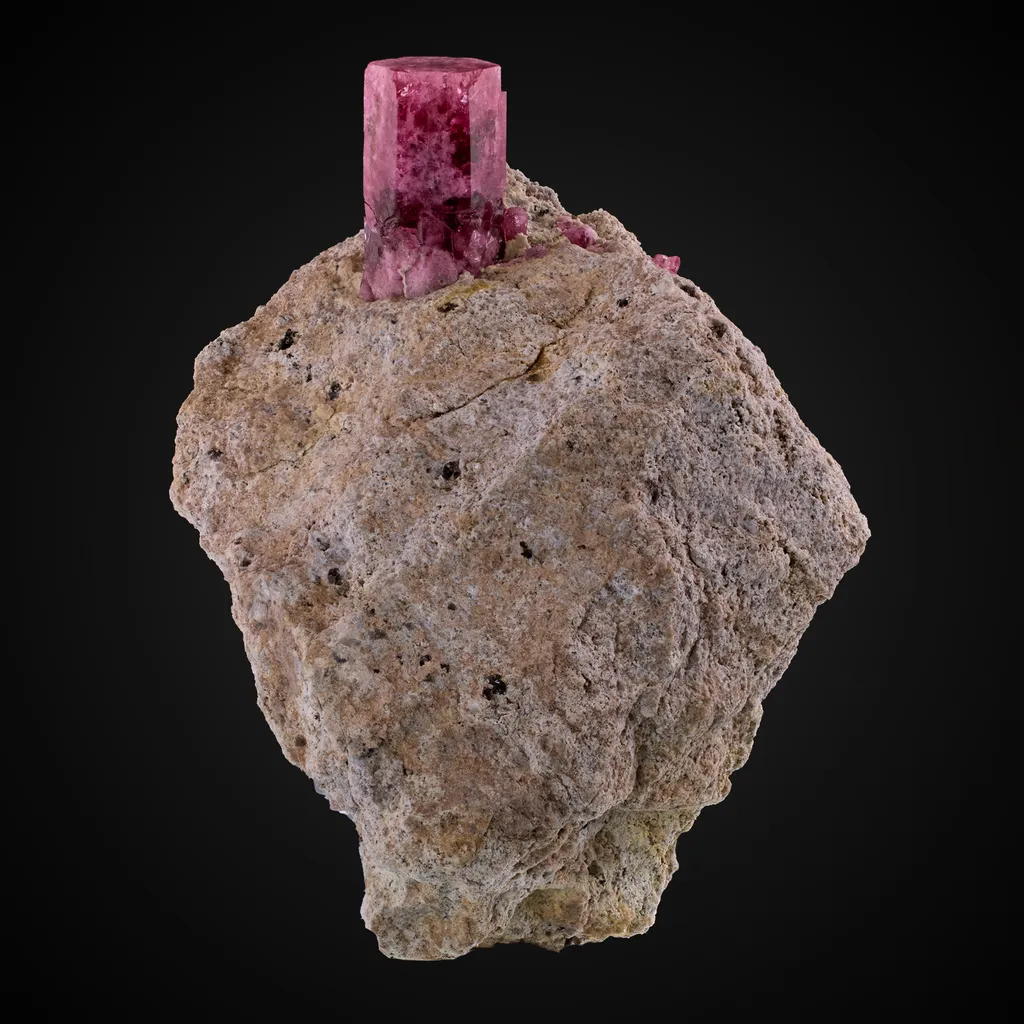 Beryl v. Red image