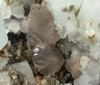 Beryl (Var: Aquamarine), Fluorite, Muscovite - image 2