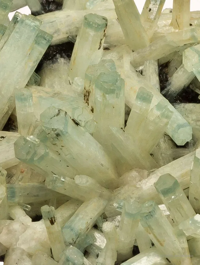 Beryl Var. Aquamarine & Heliodor image