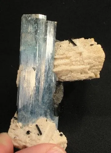 Beryl (Var: Aquamarine), Microcline, Schorl image