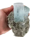 Beryl Var. Aquamarine & Muscovite - image 4