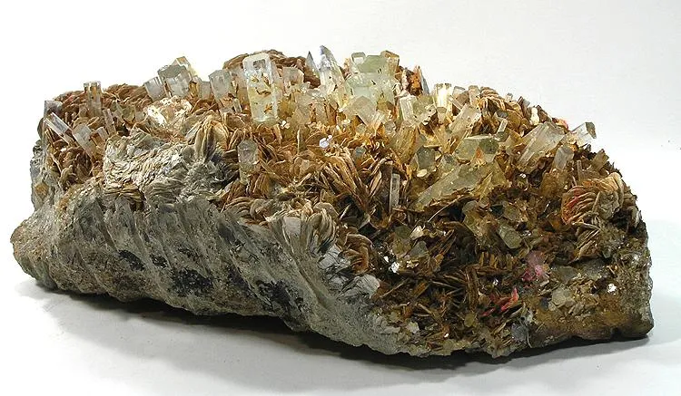 Beryl (Var: Aquamarine), Muscovite image