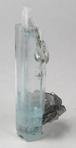 Beryl (Var: Aquamarine), Muscovite image
