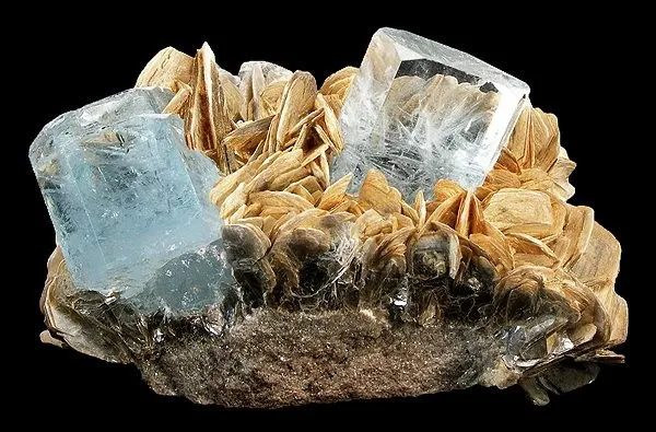 Beryl (Var: Aquamarine), Muscovite image