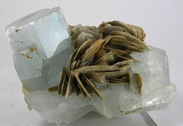 Beryl (Var: Aquamarine), Muscovite image