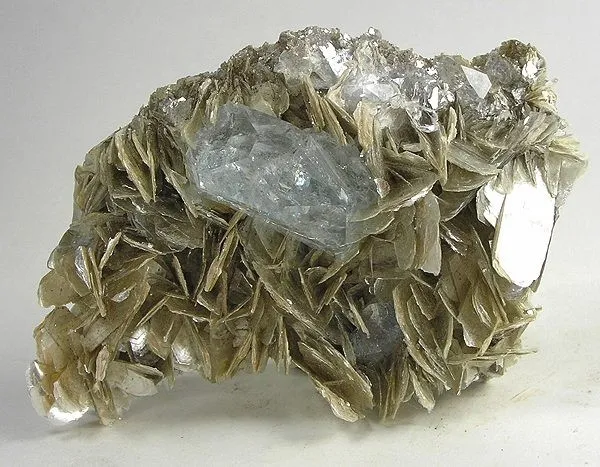 Beryl (Var: Aquamarine), Muscovite image