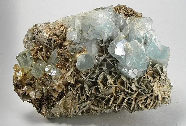 Beryl (Var: Aquamarine), Muscovite image