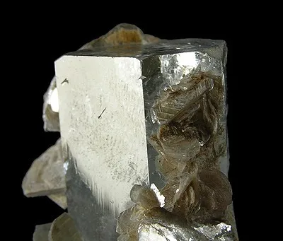 Beryl (Var: Aquamarine), Muscovite - image 2