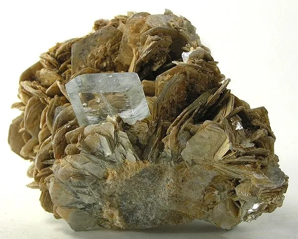 Beryl (Var: Aquamarine), Muscovite image