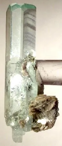 Beryl (Var: Aquamarine), Muscovite image